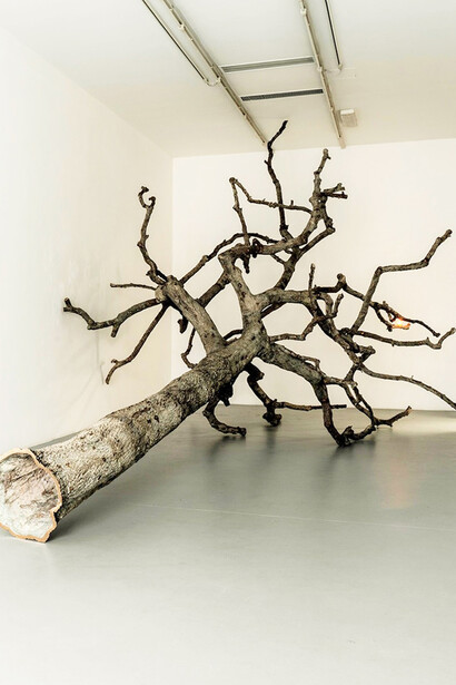 Galleria Massimo Minini, Brescia. Installation view from Ariel Schlesinger, we started with a flame. Courtesy the artist and Galleria Massimo Minini, foto Gilberti & Petrò