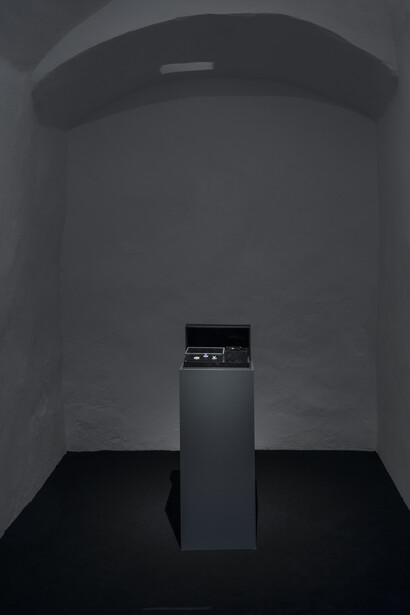 Vuelos endémicos II (4) / Endemic flights II (4) 
2016, Installation, Three hand cut stamps: one old stamp United States Postage 1942, one old stamp Third Reich 1938, one recreation of the Basel Dove Stamp 2016, methacrylate, wood, magnifying glass, leather and velvet box, 18 x 33.7 x 9.3 cm (closed). Courtesy Galleria Continua, San Gimignano / Beijing / Les Moulins / Habana
Ph Ela Bialkowska, OKNO studio