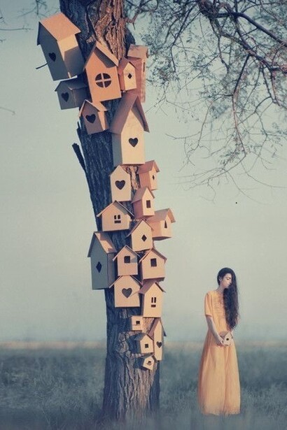 Dream, Oleg Oprisco