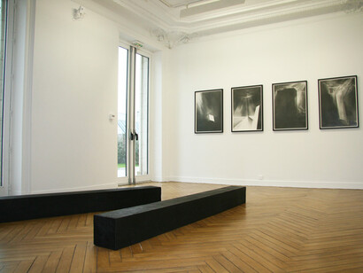 View of the exhibition "Ecoute dans le vent, les buissons en sanglots" by Angélique Lecaille, melanie Rio gallery, Nantes, 2015