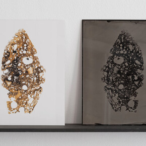 Charlotte Charbonnel, Série de lames, tirage couleur et au collodion humide d’une lame mince d’un échantillon de pouzzolane partiellement fondue, 2021. Crédit photo : Vincent Blesbois