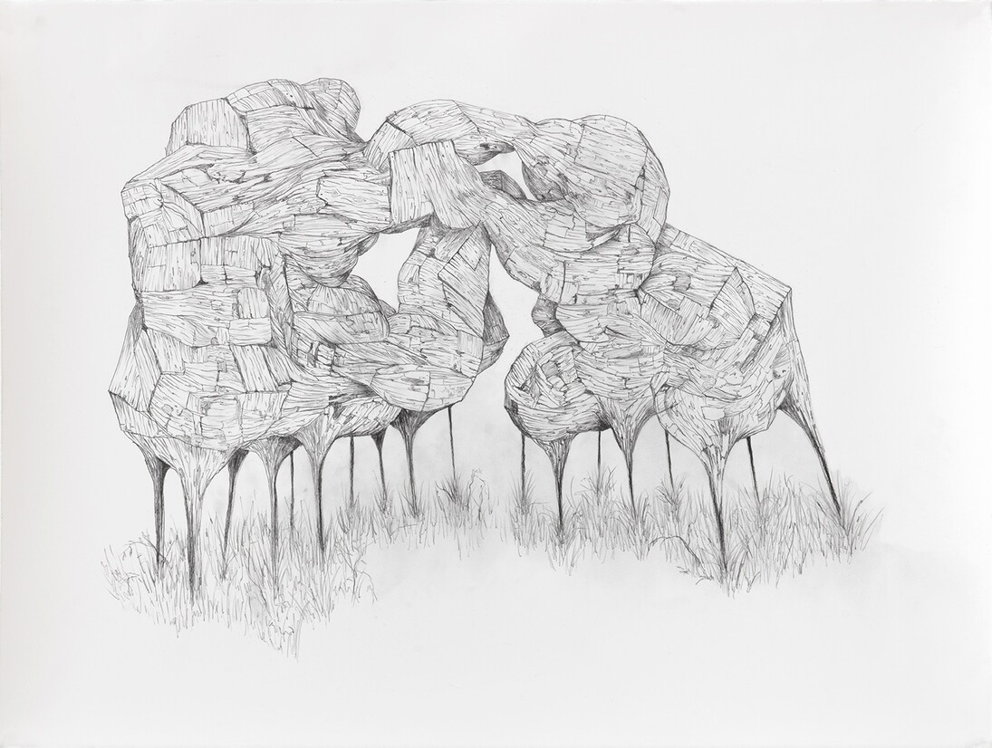 Henrique Oliveira, Sans titre, 2015, Crayon sur papier / Pencil on paper, 57 x 76,5 cm / 22 1/2 x 30 1/8 in.
Pièce unique / Unique piece, Courtesy Galerie GP & N Vallois, Paris, Photo : André Morin