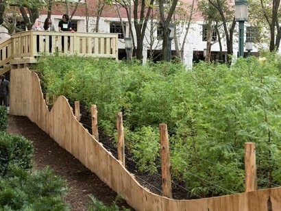 Spencer Finch: Lost Man Creek. Courtesy of Public Art Fund