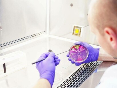 Identificazione di colture pure di microrganismi in laboratorio