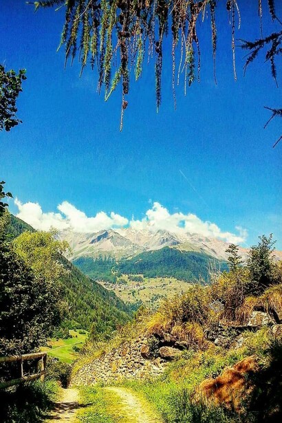 Panorama, valle di Pejo, Trentino-Alto Adige, Italia. Foto di Walter Maria Calarco