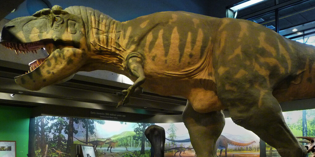 Dinosaurs: Modeling the Mesozoic. Courtesy of Museum of Science 