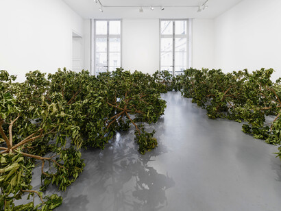Paola Pivi, Live again, exhibition view. Courtesy of Perrotin 