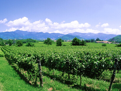 Il territorio della Franciacorta