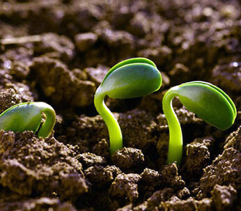 La vita nel rispetto della natura