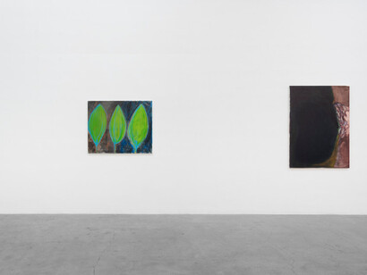 Rosalind Nashashibi. Courtesy of GRIMM