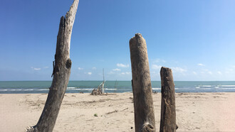 Spiaggia libera con capanne di tronchi portati dal mare