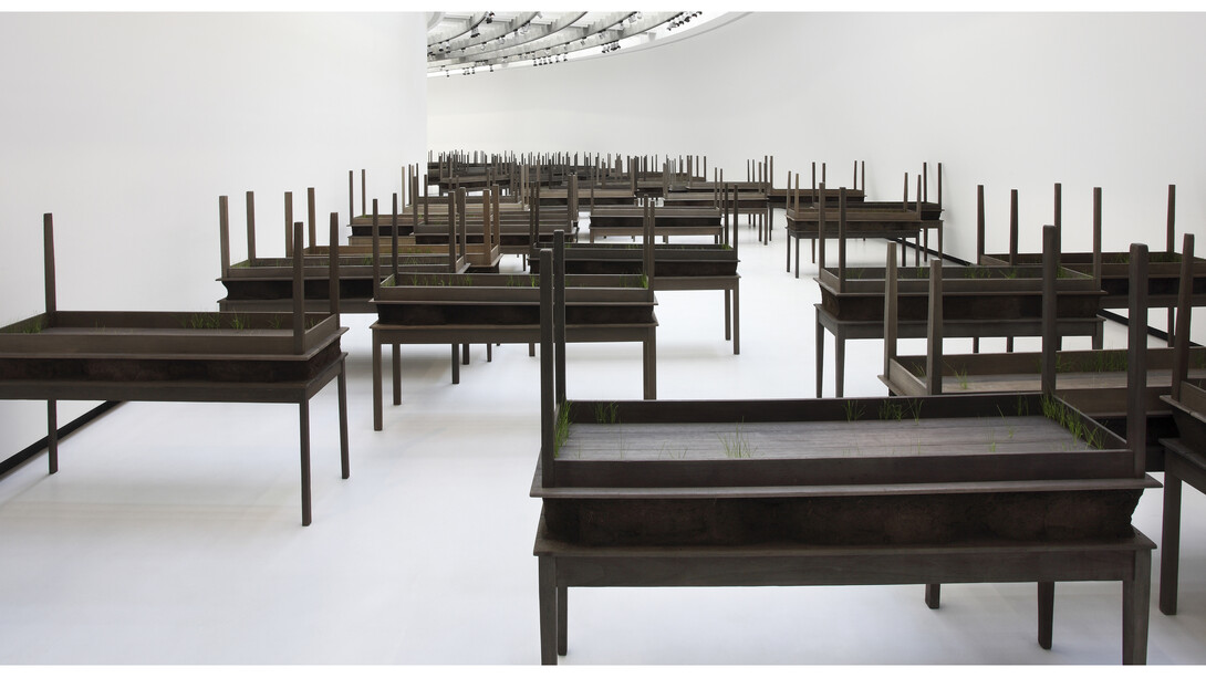 Doris Salcedo, Plegaria Muda (detail), 2008–10, Wood, concrete, earth, and grass in 122 parts, dimensions variable. Courtesy Alexander and Bonin, New York