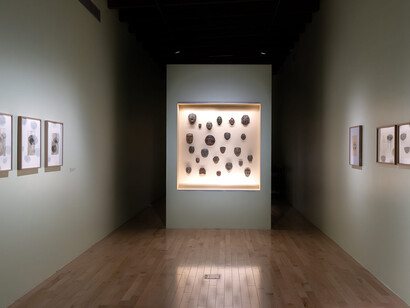A spiral turn, exhibition view. Courtesy of Museo Amparo