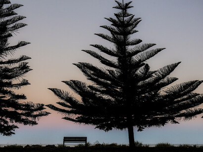 Australia meridionale, Victor Harbour, Questa parentesi silenziosa e di isolamento mostra a ciascuno la propria vera natura, il confronto quotidiano è spesso solo con sé stessi, un esercizio che aiuta a capire le cose a cui dire finalmente di no, foto Marco Migliozzi