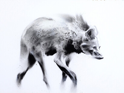 Li-Hill, Adapt, (Maned Wolf – Chrysocyon brachyurus), Graphite and aerosol on paper, 30in x 22in (76 x 56cm)