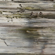 Jack Whitten, Prime Mover, 1974, acrylic on canvas, 54 1/4 x 75 1/4in. (137.8 x 191.1cm). Mott-Warsh Collection, Flint, Michigan © Jack Whitten