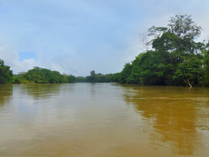 Contaminación del río Sarapiquí, por sedimentos. Foto: Luko Hilje