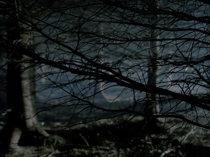 Willie Doherty
Buried, 2009
Video installazione a canale singolo, colore, stereo 
Durata: 8’
Courtesy l’artista
