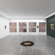 Alannah Farrell, Solastalgia, exhibition view. Courtesy of Anat Ebgi
