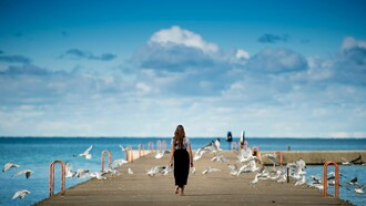 Servir, no molestar y no reprimir es el nuevo principio de la gestión social