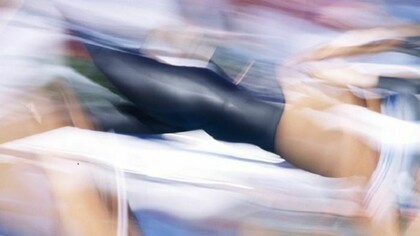 Stefano Nicolini. Champions