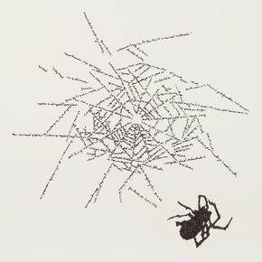 Johanna Calle Colombian, Sin título (Arañas) Antiquus editores, Bogotá, Colombia, 2015. Courtesy of Ruiz-Healy Art