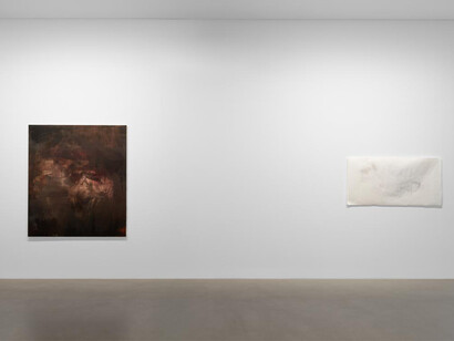 Liza Lacroix, XXX, she’s so beautiful, vue de l'exposition. Avec l'aimable autorisation de la Galerie Chantal Crousel