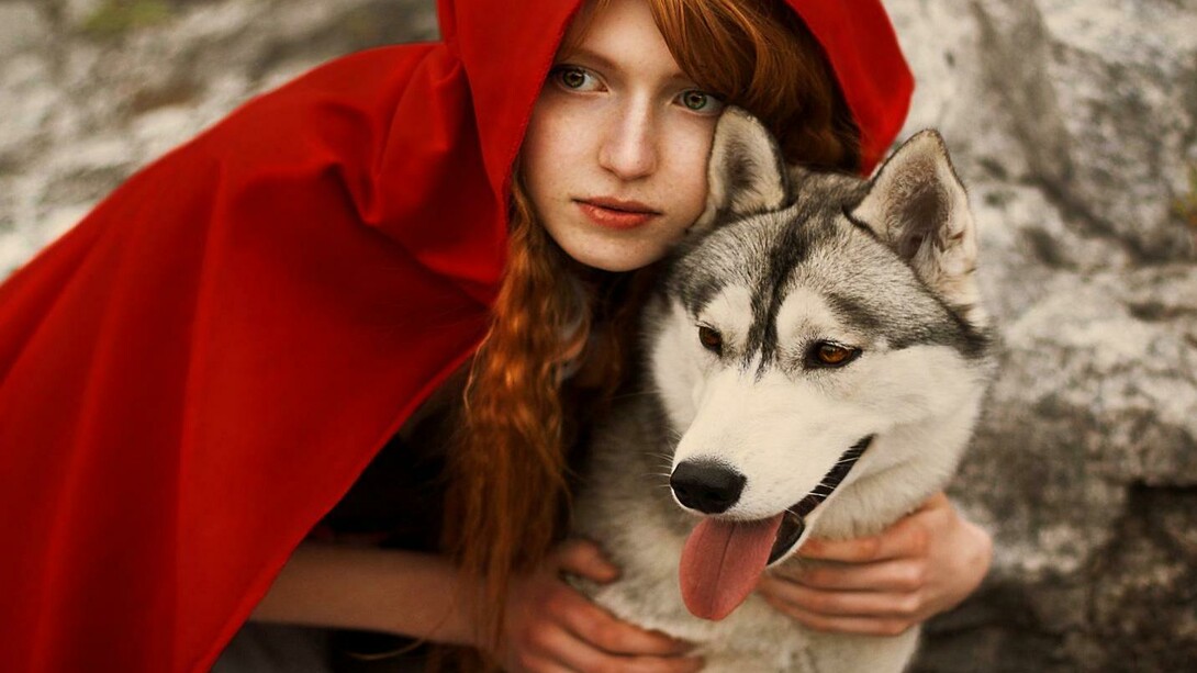 Caperucita roja y el lobo feroz