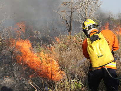 Incêndio no Parque Nacional de Brasília em 2024, Brasil