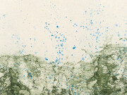 Verdant Spring. Courtesy of Crown Point Press