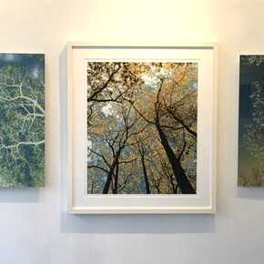 Installation view, Nancy Simonds, Uplifting. Courtesy of Elisa Contemporary Art