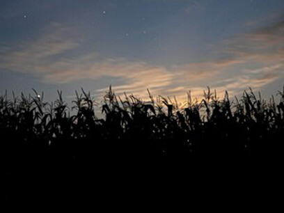 De momento, esto es septiembre con sus mejores ropajes y un profundo, casi añil, tono azul. Puesta del sol en el campo