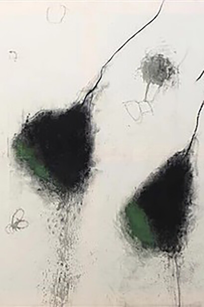 Arcangelo, Fiore irpino