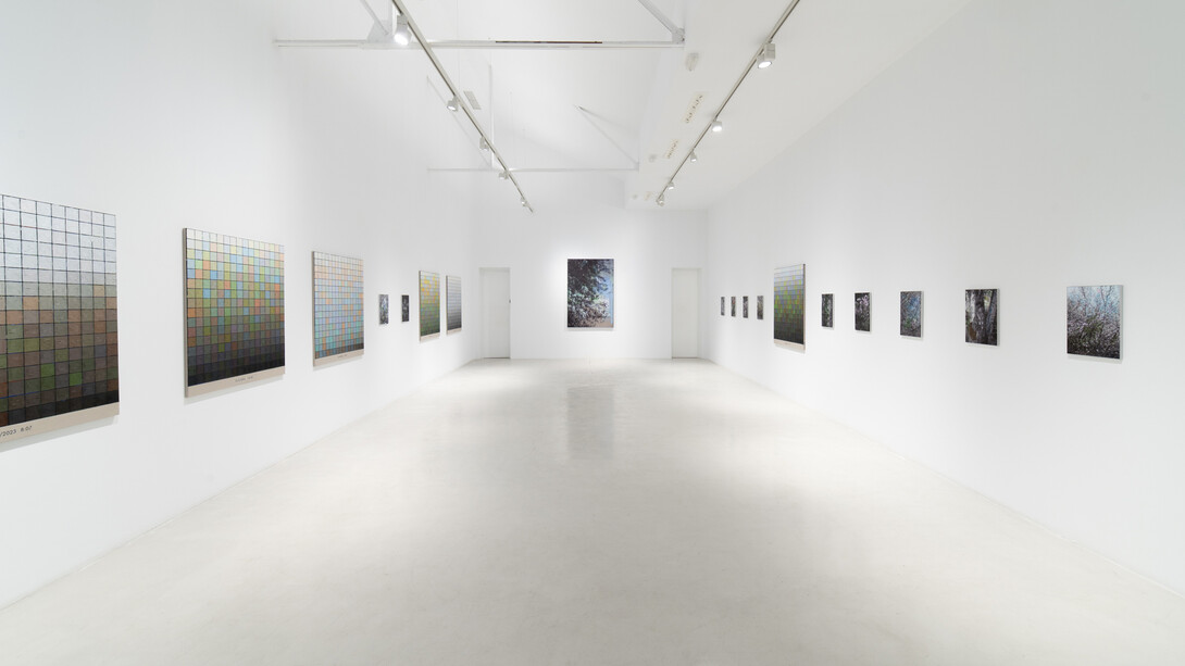 Stijn Cole, El tiempo suspendido, vista de exhibición. Cortesía de la Galería Hilario Galguera