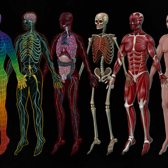 Nychos, Six-Layers Till Consciousness, 2021