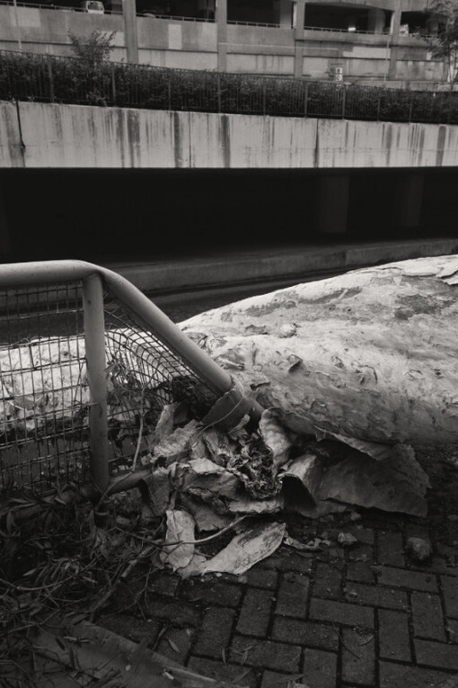 South Ho Siu Nam. Courtesy of Blindspot Gallery