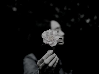 Flor o polen, esa es la cuestión