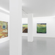 Bárbara Faden, Solta azul, céu da boca, vista da exposição. Cortesia da Balcony Contemporary Art Gallery