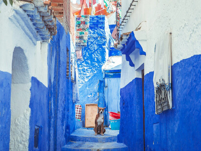 Stunning blue concrete alley stairs in Chefchaouen, Morocco, highlighting the city's unique architectural style