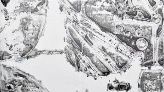 Laleh Khorramian, zippership, 2001, oil on polypropylene, 43-1/4 by 55 inches (108.6 by 139.7 cm)