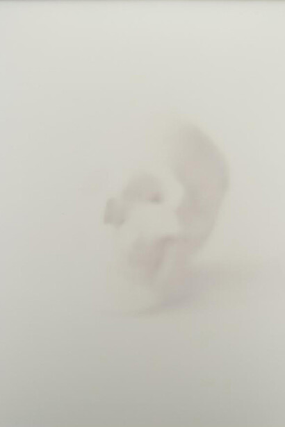 Soft Focus. Courtesy of Dallas Museum of Art