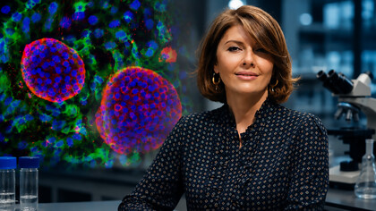 Professor Ekaterine Berishvili, regenerative medicine researcher at the University of Geneva, leading innovative bioartificial pancreas research for Type 1 diabetes treatment