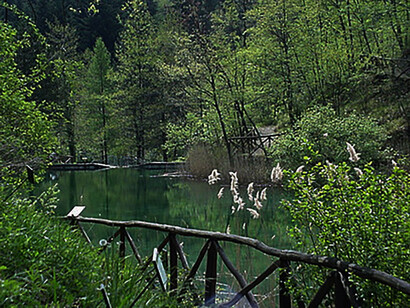Giardino Botanico di Pratorondanino