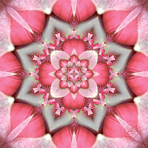 Karen Hochman Brown, Love in the Fringes, Digital Painting on Aluminum, 20" x 20"