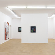 Ronny Delrue, Enigma, exhibition view. Courtesy of Nosbaum Reding