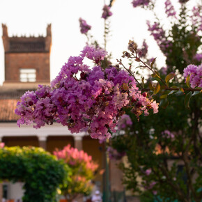 Interno Verde Ferrara, Tennis Club Marfisa