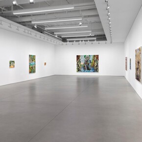 Maia Cruz Palileo, The world tangled in you, exhibition view. Courtesy of David Kordansky Gallery 