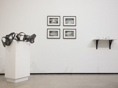 Conflicted, 2023, installation image, photo by Daniel Krieger. Courtesy of C24 Gallery