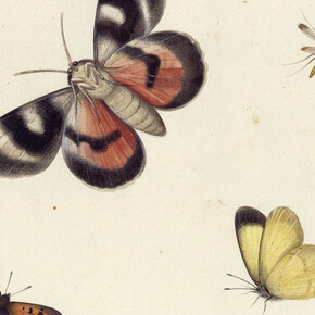 The Charm of the Small. Courtesy of Gemäldegalerie