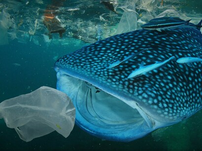 La plastica è diffusa nei mari in modo simile agli iceberg, nel senso che ne vediamo solo una piccola parte in superficie 